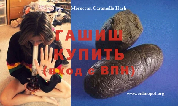 гашик Алексин