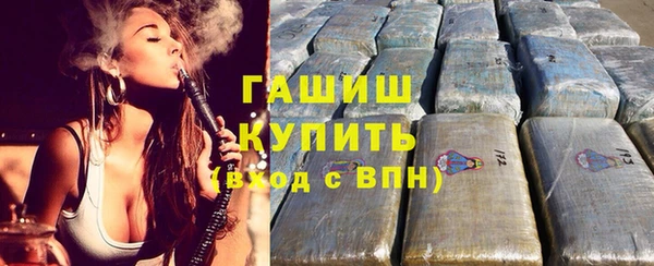 гашик Алексин
