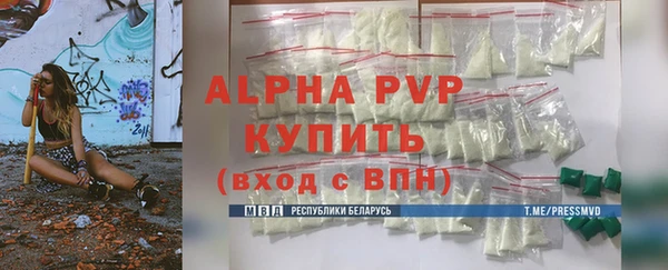 сатива Алзамай