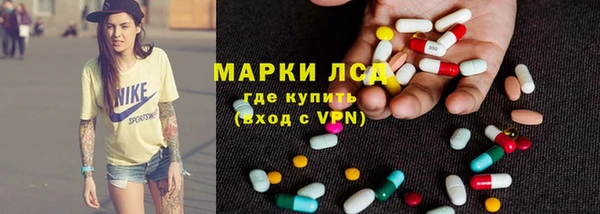 гашик Алексин