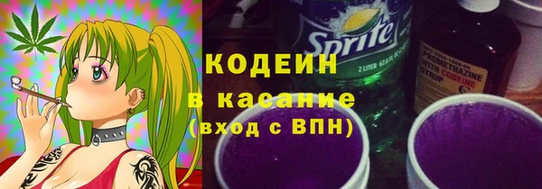 гашик Алексин