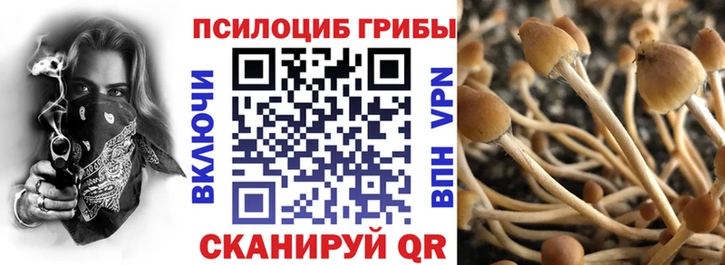 Галлюциногенные грибы ЛСД  хочу наркоту  Кизилюрт 