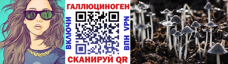 Псилоцибиновые грибы Psilocybe Кизилюрт